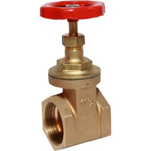 Maestrini Brass Gate Valve