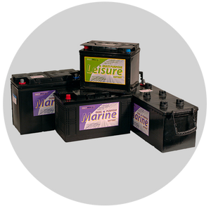 Dual Purpose Sealed for Life Battery