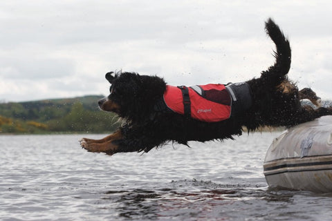 Crewsaver Petfloat - Pet Lifejacket 2370