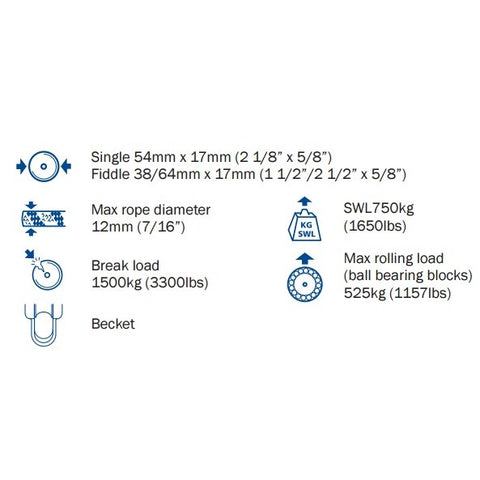 Size5diagram