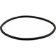 Allen O ring for 4" Allen AL-0337 Hatch