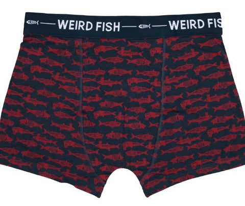 Weird Fish Ashridge Boxer Shorts