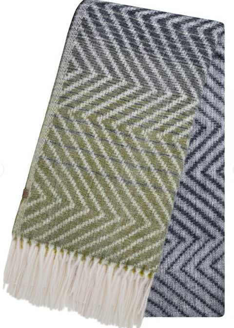 Weird Fish Jadida Ladies Scarf