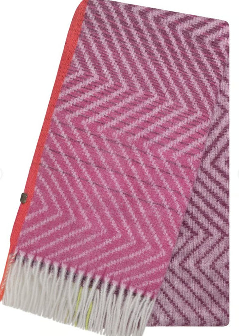 Weird Fish Jadida Ladies Scarf