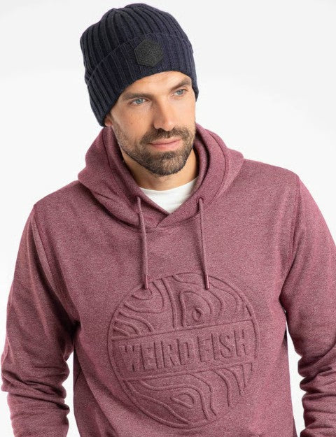 Weird Fish Monreith Men's Beanie