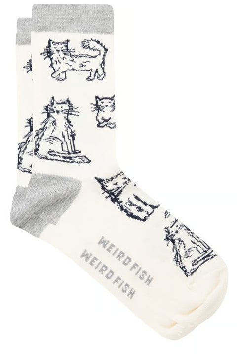 Weird Fish Parade 3pk Ladies Socks