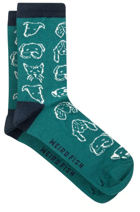 Weird Fish Parade 3pk Ladies Socks