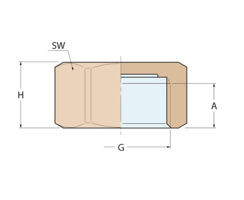Guidi Bronze 1 1/4 inch Cap BSP