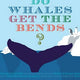Do Whales Get The Bends?