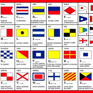 InternationalCodeflags2000