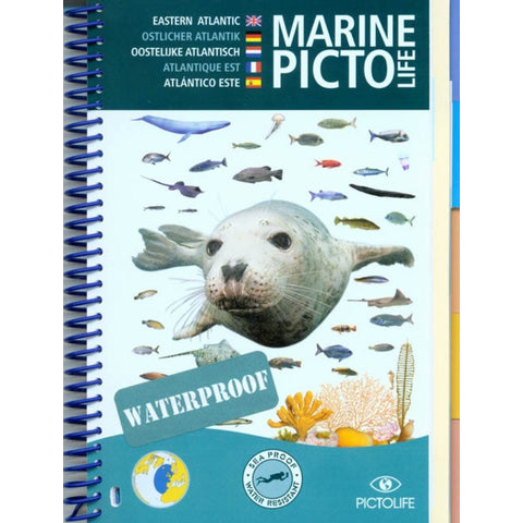 MarinePictoLifeEasternAtlantic