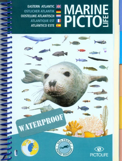 Marine Picto Life