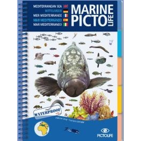 MarinePictolifemediterraneansea