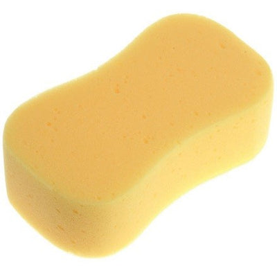 Jumbo Sponge